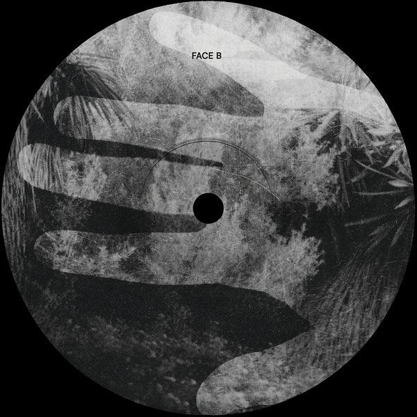 Lost berries in the fields