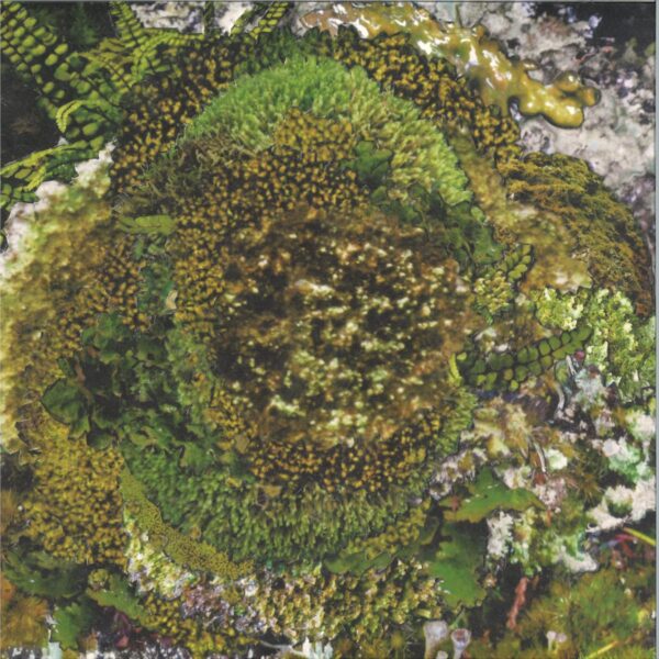 Never Fret, Never Fail EP