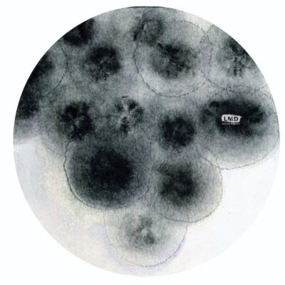 Thematic Clusters Of Storytelling