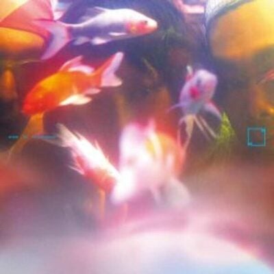 MFM081 梦游 Sleepwalker