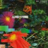 Ur Mynd LP 2x12