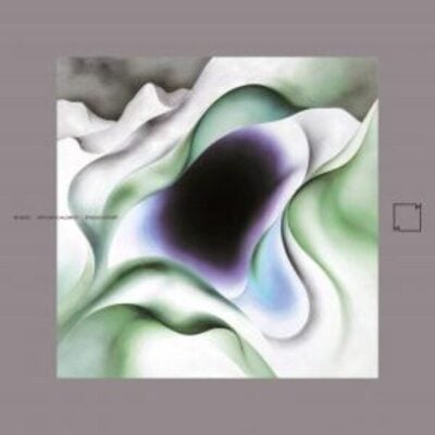 SPACIOUS HEART LP 2x12"