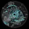 MINERAL 10