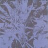 Forest Dwellers LP