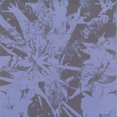 QUI021 Forest Dwellers LP
