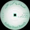Arabian Desert Reserch 001