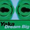 Dream Big LP