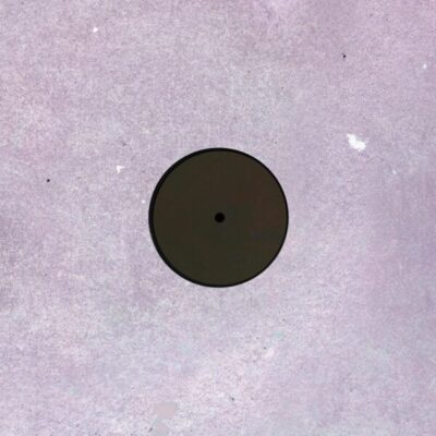 Dustlick LP