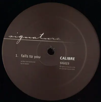 Falls To You (2026 repress)