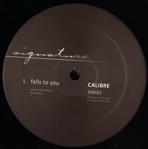 Falls To You (2026 repress)