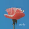 Like A Flower