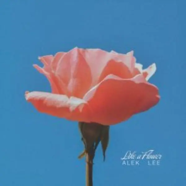 Like A Flower