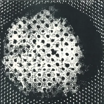 BIO4LP Patashnik LP (reissue) 2x12"