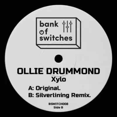 BSWITCH008 Xylo