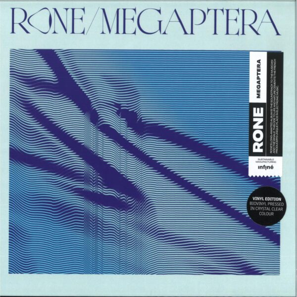 Megaptera