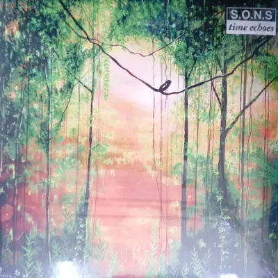 SHROOM11 Time Echoes
