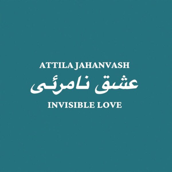 Invisible Lov (2x12")