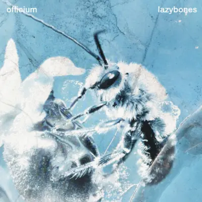 Lazybones