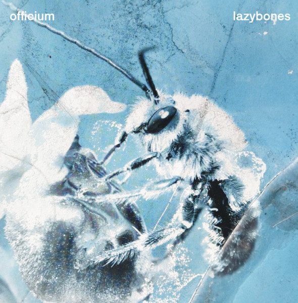 TMR044LP-1 Lazybones